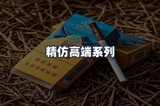 精仿高端系列